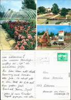 Ansichtskarte Erfurt Internationale Gartenbauausstellung Der DDR (IGA) 1976 - Erfurt
