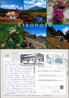 Riesengebirge (Krkonoše) - Kapelle, Berge, Pflanzen, Fachwerkhaus 1995 - Non Classés