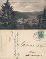 St. Blasien Panorama-Ansicht Mit Dom - Blick Von Der Luisen-Ruhe 1913 - St. Blasien