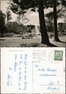 Ansichtskarte Bad Driburg Kurpark 1968 - Bad Driburg