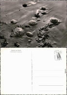 Ansichtskarte Langeoog Strand - Quallen 1967 - Langeoog
