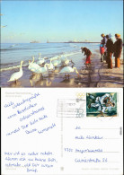 Ansichtskarte Warnemünde-Rostock Winter Am Strand G1980 - Rostock