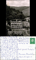 Ansichtskarte Bad Lauterberg Im Harz Kneippkurklinik 1961 - Bad Lauterberg