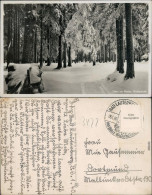 Ansichtskarte Bad Lauterberg Im Harz Harz Im Winter Waldesruhe 1940  - Bad Lauterberg