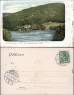 Ansichtskarte Bad Lauterberg Im Harz Restauration - Wiesenbeeker Teich 1902  - Bad Lauterberg