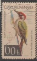 1964 CZECHOSLOVAKIA USED STAMP ON BIRD/Picus Viridis/	Fauna/Birds/Woodpeckers - Climbing Birds