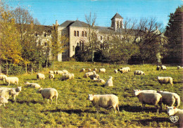 81 - Dourgne - Abbaye Saint Benoit D'En Calcat - Façade Ouest - Dourgne