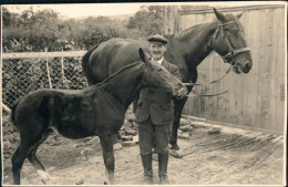 Ansichtskarte  Pferde Auf Bauernhof - Privatfotokarte 1928  - Pferde