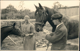 Ansichtskarte  Pferde Auf Bauernhof - Privatfotokarte 1930  - Pferde