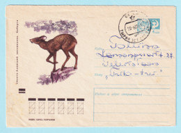 USSR 1970.1211. Siberian Musk Deer. Prestamped Cover, Used - 1970-79