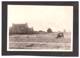 29  OUESSANT  Moulin  Maisons  2 Photos  7 X 10 Cm  3 Scans - Ouessant