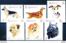 Fauna. Cani 1992. - Bermuda