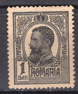 R6356 - ROMANIA ROUMANIE Yv N°215 * - Unused Stamps