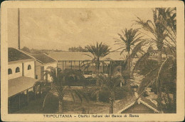 LIBYA / LIBIA - TRIPOLI - TRIPOLITANIA - OLEIFICI ITALIANI DEL BANCO DI ROMA - ED. FUMAGALLI - 1910s (12481) - Libyen