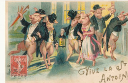 VIVE AL SAINT ANTOINE  / Cochons Humanisés / Danse / Défilé  / CARTE GAUFFREE - Pigs