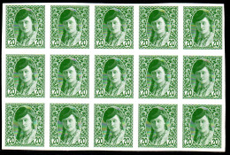 2894.1913 20 H NEWSPAPER BOSNIAN GIRL,  MNH BLOCK OF 15, 2 ST. LIGHT GUM FAULTS - Bosnie-Herzegovine