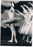 BALLET-14  The Royal Ballet - Margot Fonteyn - Danse