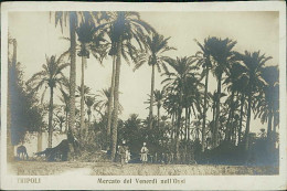 LIBYA / LIBIA - TRIPOLI - MARKET / MERCATO DEL VENERDI NELL'OASI - RPPC POSTCARD - 1910s (12493) - Libia