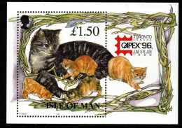 Isle Of Man 1996 - Mi.Nr. Block 25 I - Postfrisch MNH -Tiere Animals Katzen Cats - Isola Di Man