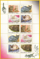 Russland 1996 - Mi.Nr. 485 - 489 Kleinbogen - Postfrisch MNH - Tiere Animals Katzen Cats - Gatos Domésticos