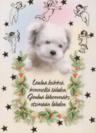 PERRO Animales Vintage Tarjeta Postal CPSM #PBQ638.ES - Chiens