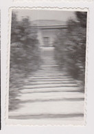 Stairs, Scene In Park, Odd Unfocused, Abstract Surreal Vintage Orig Photo 6x8.6cm. (505) - Objects