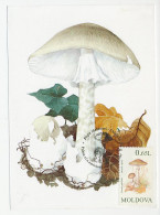 Maximum Card Moldavia 1996 Mushroom - Hongos