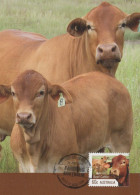 MUCCA Animale Vintage Cartolina CPSM #PBR802.IT - Vaches