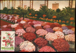 1751 - MK - Gentse Floraliën V - 1971-1980