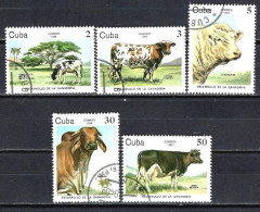 Cuba 1984 Animaux Bovins (200) Yvert 2570 à 2574 Oblitérés Used - Gebraucht