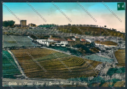 Siena Gaiole ADESIVO Foto FG Cartolina MV0520 - Siena