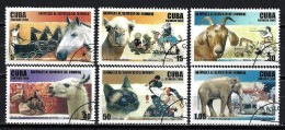 Cuba 2006 Animaux Domestiques (202) Yvert 4408 à 4413 Oblitérés Used - Gebruikt