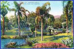 Monte Carlo - Un Coin Des Jardins - Casinò