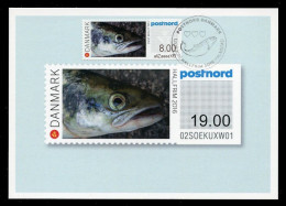 DENMARK (2016) Carte Maximum Card ATM HALLFRIM 2016 - Halmstad - Salmon, Salmo, Saumon - Machine Labels [ATM]