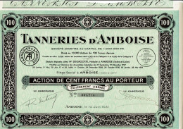 37-TANNERIES D'AMBOISE.  Action  1931  - Other & Unclassified