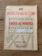 P.N.F. GIOVENTU' ITALIANA DEL LITTORIO-CROCE AL MERITO ANNO XVI - Collezioni