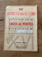 P.N.F. GIOVENTU' ITALIANA DEL LITTORIO-CROCE AL MERITO ANNO XVI - Collections