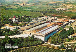 Vignes - Cavas Codorniu - Vue De L'extérieur - Vue Aérienne - CPM - Voir Scans Recto-Verso - Wijnbouw