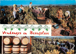 Vignes - Beaujolais - Multivues - Vendanges - Carte Dentelée - CPSM Grand Format - Voir Scans Recto-Verso - Viñedos