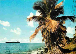 Antilles - Rivage Caraibe - Plages - Carte Neuve - CPM - Voir Scans Recto-Verso - Sonstige & Ohne Zuordnung