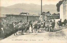 09 - Lavelanet - Le Chevrier - Animée - Berger - Chèvres - CPA - Voir Scans Recto-Verso - Lavelanet