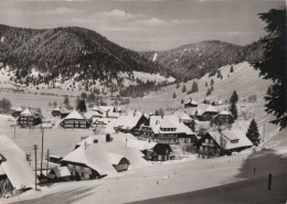 53317 - St. Blasien-Menzenschwand - Blick Zum Hochkopf - 1974 - St. Blasien