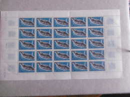 T A A F  1966     P22 * *   GRANDE BALEINE BLEUE    FEUILLE DE 25   EN L ETAT   TIMBRES NEUFS - Unused Stamps