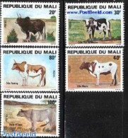 Mali 1981 Rinders 5v, Mint NH, Nature - Cattle - Malí (1959-...)