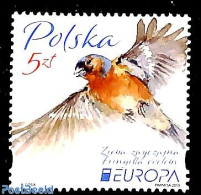 Poland 2019 Europa, Birds 1v, Mint NH, History - Nature - Europa (cept) - Birds - Unused Stamps