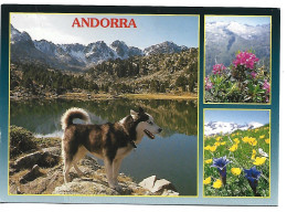 VALLS D'ANDORRA.- ANDORRA - Andorre