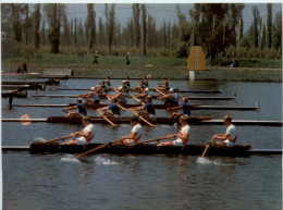 Rudern Vierer Ohne Steuermann Mexiko 1968 - Canottaggio