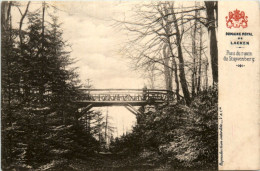 Laeken - Pont Du Ravin - Laeken