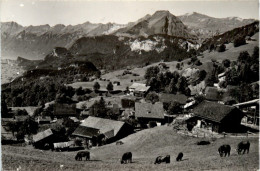 Wasserwendi - Hasliberg - Hasliberg