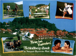 Schlossberg-Zandt - Cham